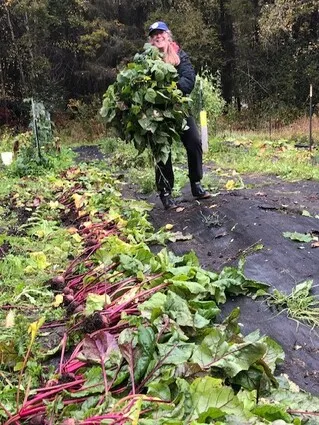 It's a great time to consider growing your own vegetables