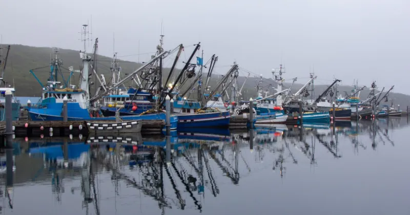 Aleutians East Borough sues Board of Fish over new Area M salmon regulations