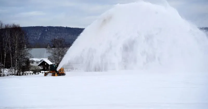 Sowing first signs of spring: Creamer's Field prepares for returning birds