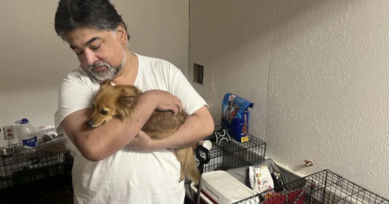 2 Anchorage homeless shelters now welcome pets. Advocates say that's better for everyone.