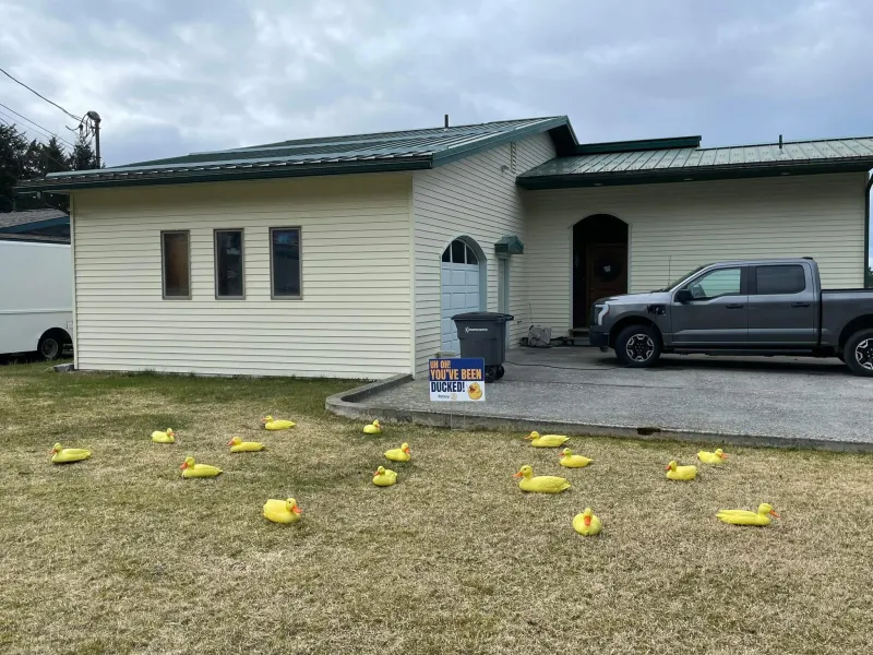 'You've been ducked!': Sitka Rotary Club's annual fundraiser aims to donate $60k to local organizations