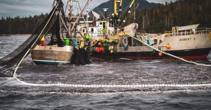 USDA's new seafood office labels fishermen as farmers of the sea