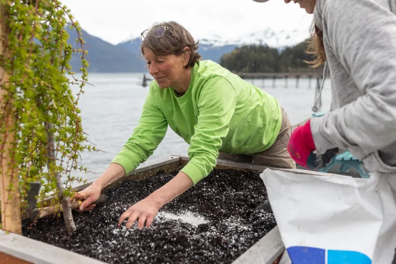How to keep the garden blooming all season -- succession planting with flowers