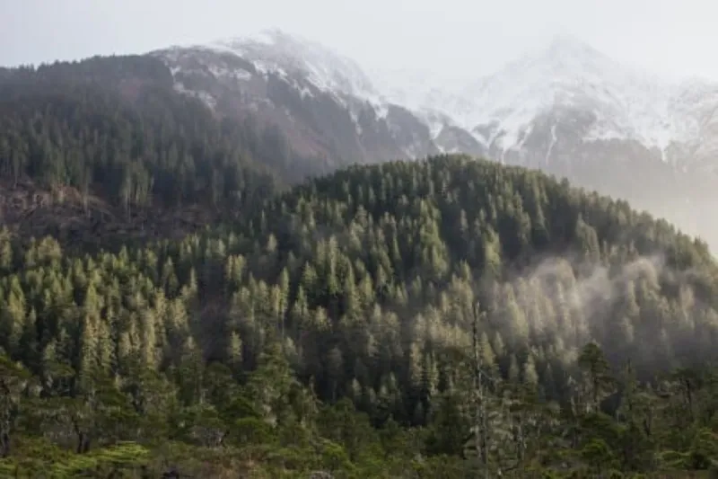 Sitka Conservation Society workshop answers questions regarding Tongass Land Management Plan