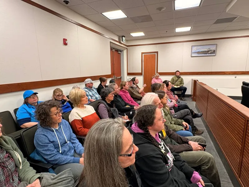 Packed courtroom hears not guilty plea in high-profile Willow dog case