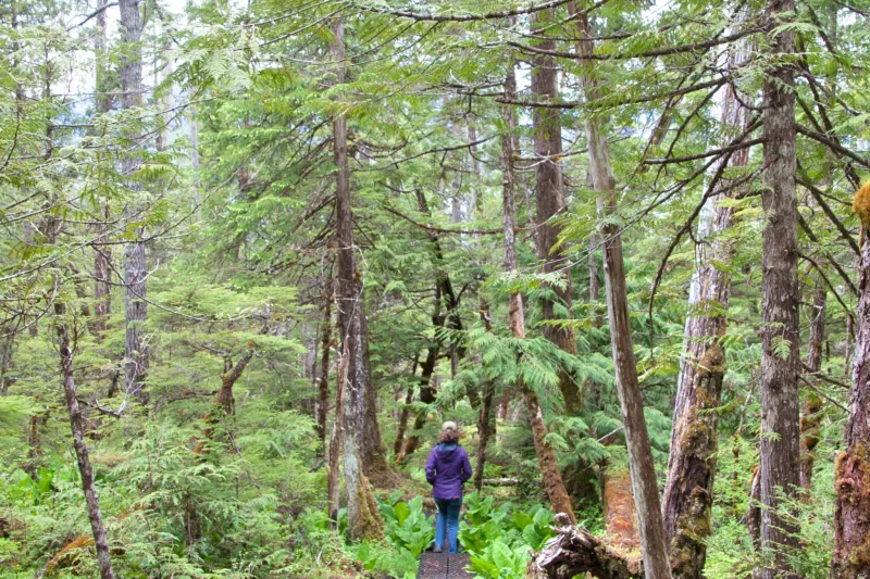 SEARHC plans new medical services building in Wrangell