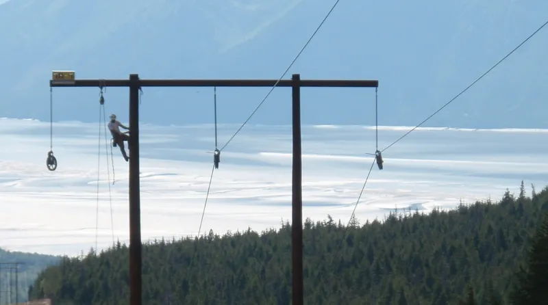Gage, Morse Win Seats on Chugach Electric Board of Directors