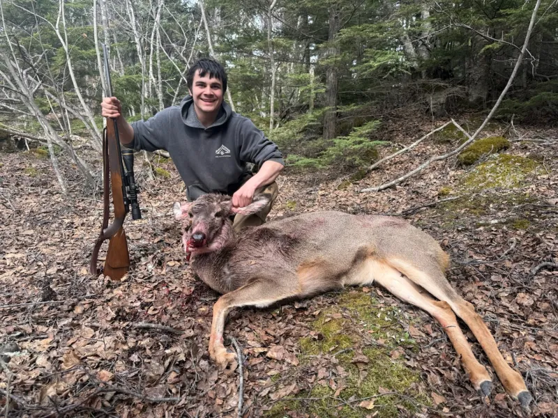 First Alaska mule deer harvest follows years of fleeting appearances in the state