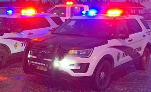 Troopers Apprehend Car Theft suspect near Seward after Search