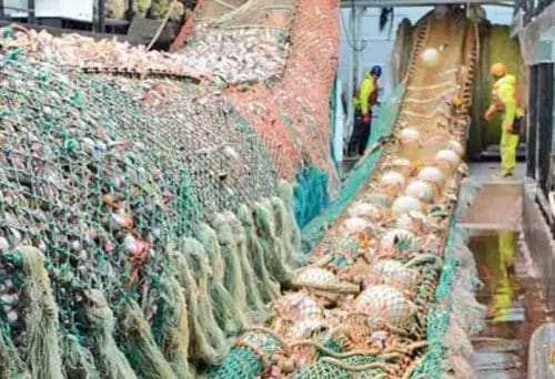 Council can close trawl loophole