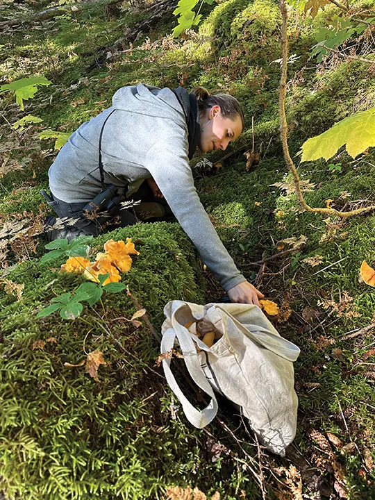 Eating Well in the Chilkat Valley: Mushroom season