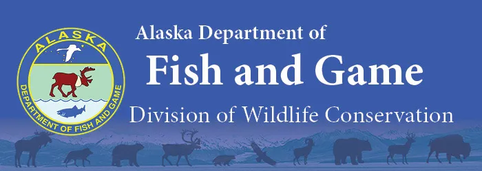 Alaska Fish & Game Seeks Public Comment on Delta Junction Bison Range