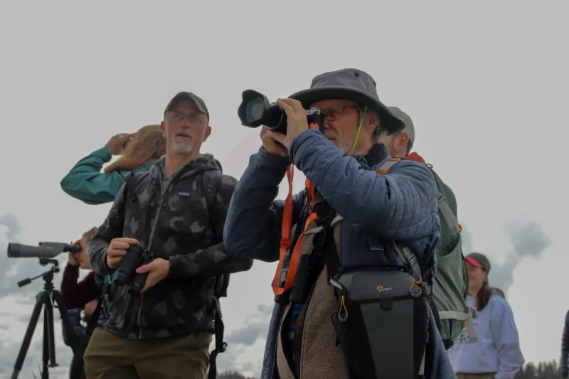 Beloved Yakutat birding festival 're-terns' for 15th season