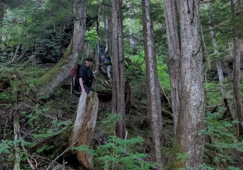 Sitka Fire Department rescues lost hiker on Mount Verstovia