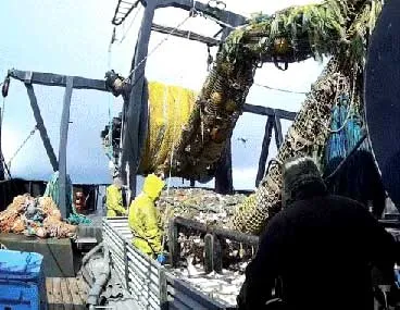 Sullivan Introduces Bycatch Reduction Act
