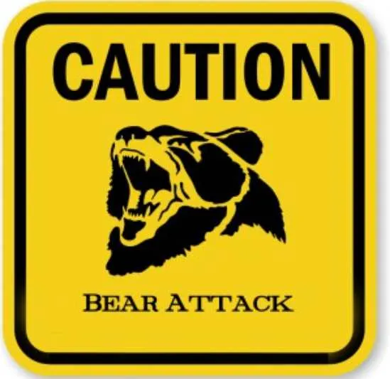 Brown Bear Mauls Kenai Woman on her Deck