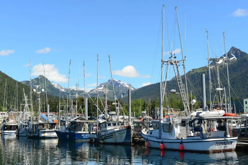 Commercial troll fishery stays open with half of allotted kings remaining