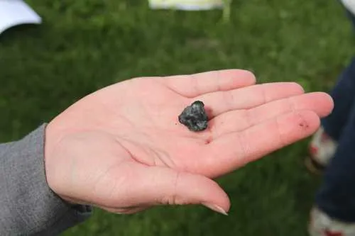 Expert to demonstrate how to produce biochar in Sitka