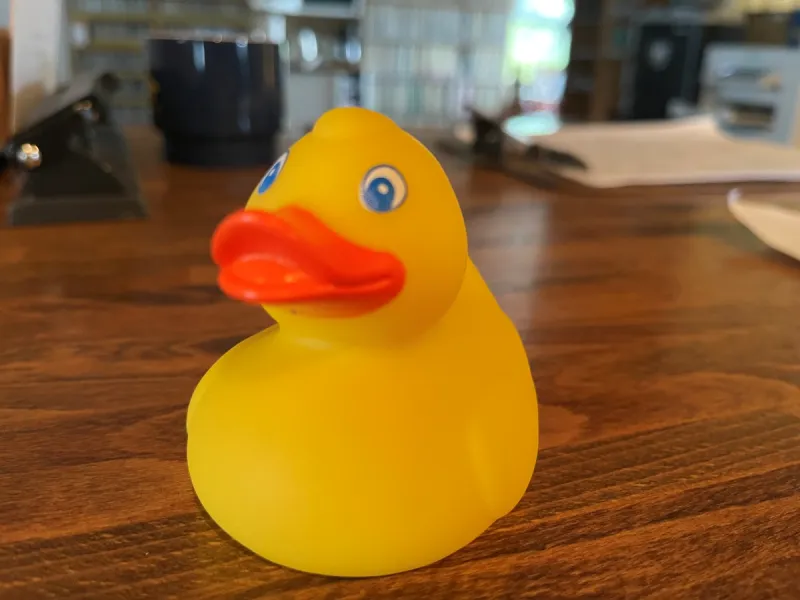 Rotary ducks to race down Granite Creek this weekend