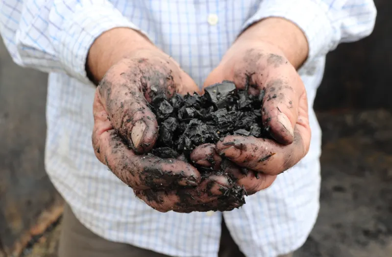 Utah forester hopes carbon-capturing soil supplement catches on in Sitka