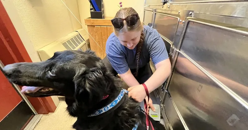 Fairbanks Animal Shelter receives publicly available microchip reading station