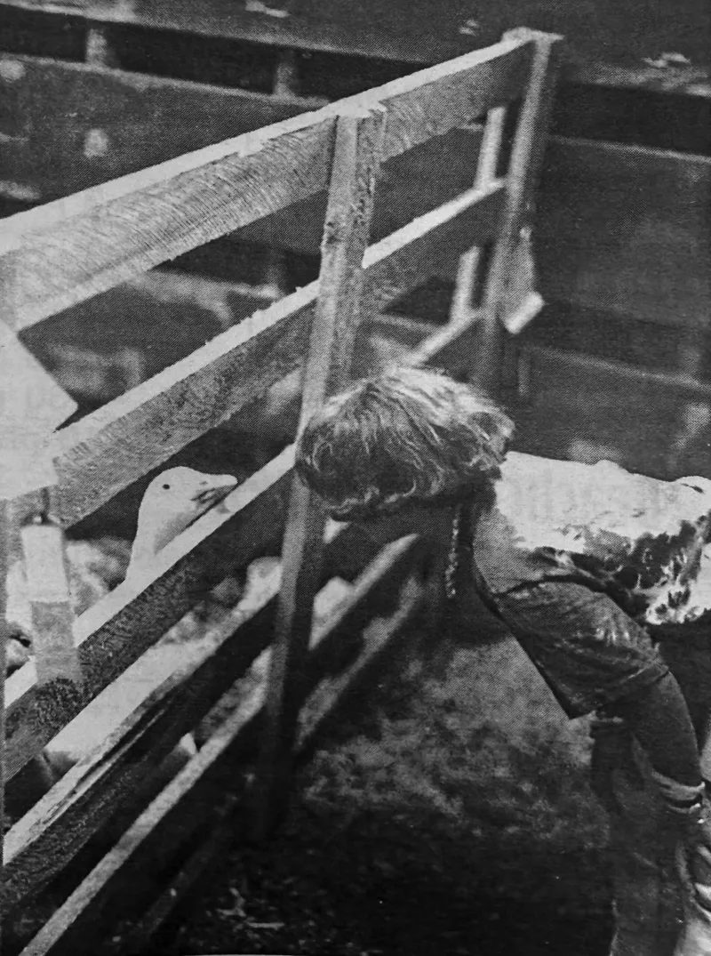 This Week in Fair History