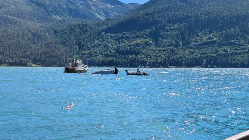 Weekend sees surge of sockeye, capsized boats