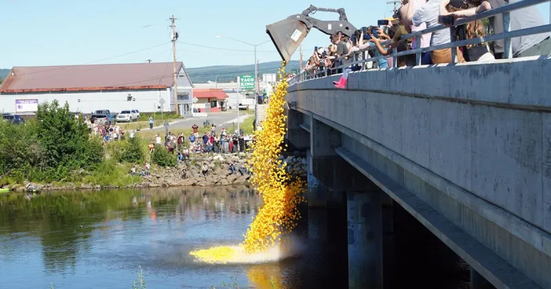 Golden Days strikes riches with parade, duck drop