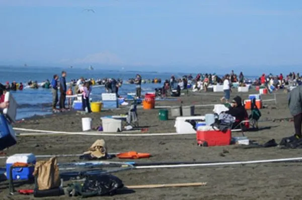 Kenai River Personal Use Dip Net Fishery Open 24 Hours Per Day