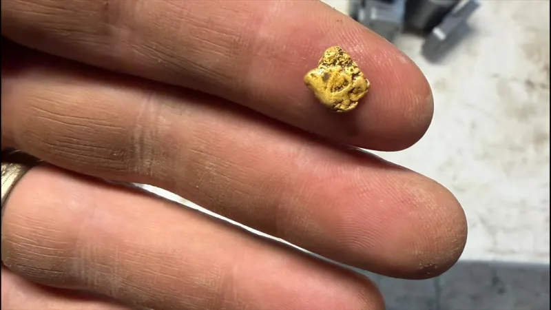 Mining Gold in Alaska Live: Nuggets in Our Cleanup! (Video)