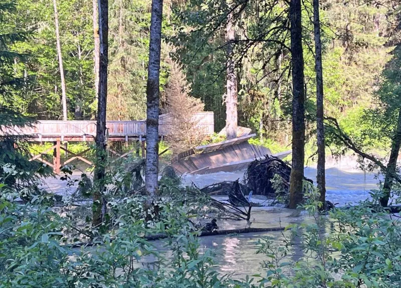 Flooding from glacial outburst damages Fish Creek site near Hyder