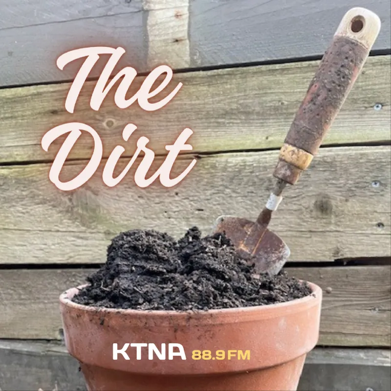 The Dirt: Archive 03/19/24-07/16/25