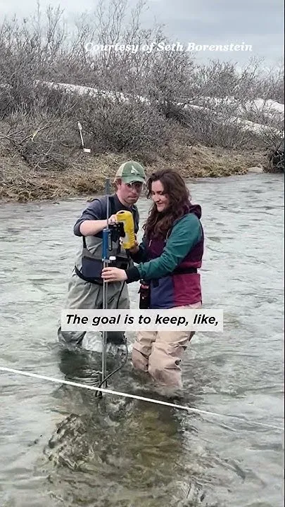Tracking a Changing Arctic at Toolik Field Station #arctic #research #climatescience (Video)