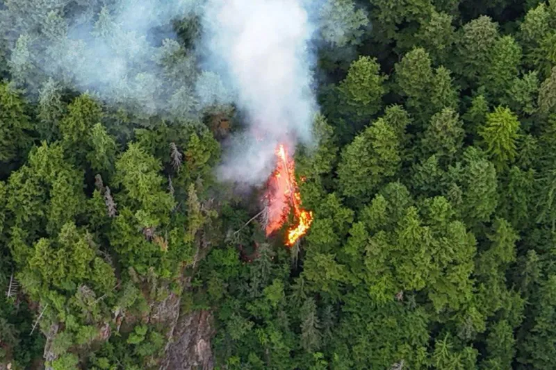 Wildfire at Chilkat Lake makes fourth for Chilkat Valley this year