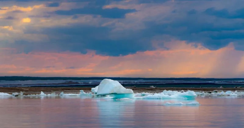 Trump administration ends NOAA support for annual Arctic Report Card