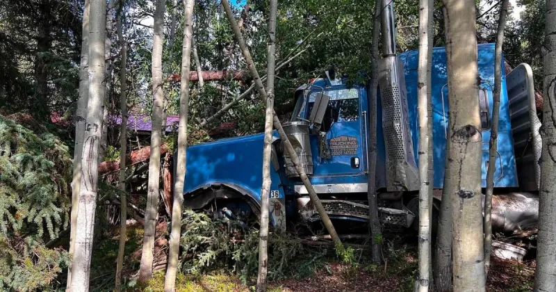 Semi crashes through guardrail, down embankment in Denali area
