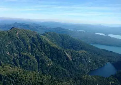 Tongass defenders continue to fight 'unjustifiable' move to rescind Roadless Rule