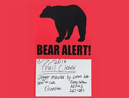Temporary Closure of Trails Due to Increased Bear Activity