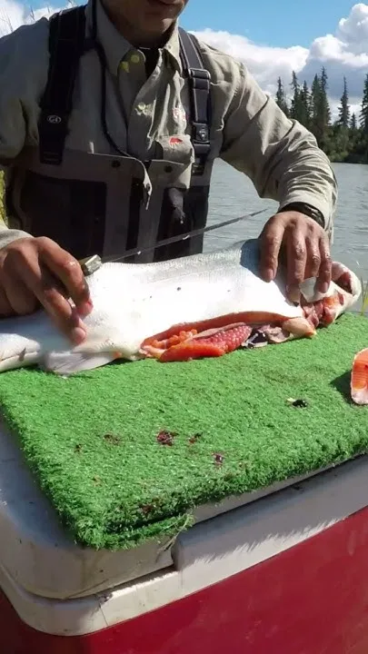 Catch n' Fillet Alaska Salmon #alaska #Kenairiver (Video)