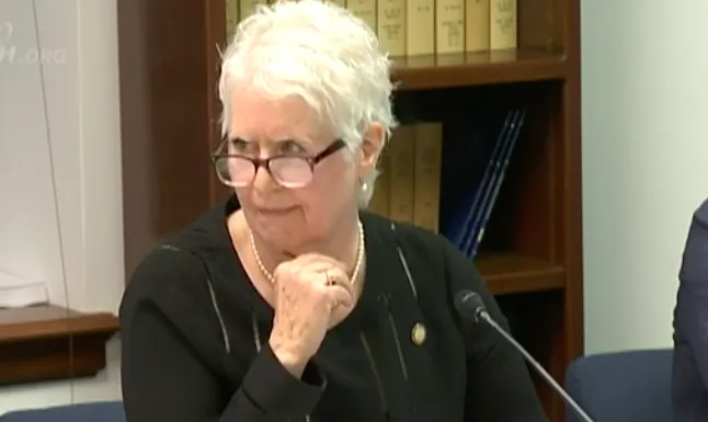Revealed: The information Rep. Louise Stutes unlawfully hid 4 years ago