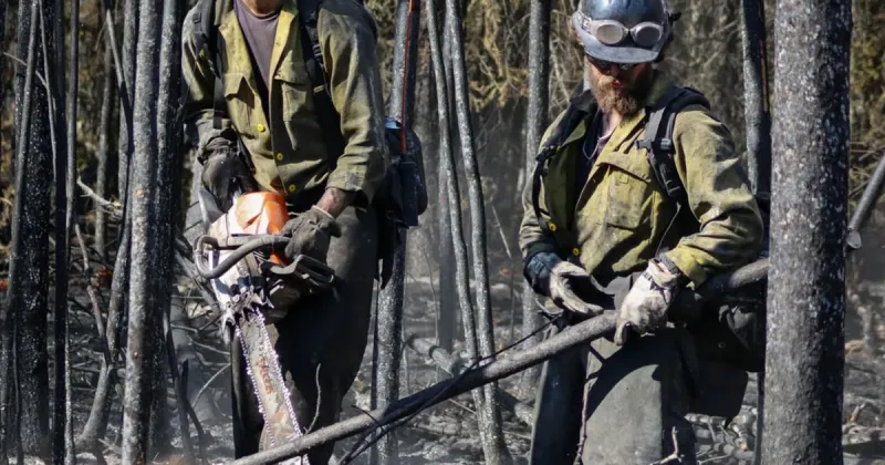 Latest count shows 44 homes in Tok area destroyed by Mukluk Fire