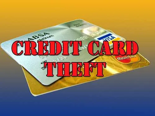 Request for Public Assistance: Unauthorized Credit Card Charges