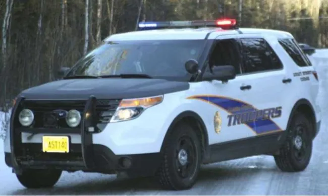 Troopers Arrest Thief after Theft Fails on Parks Highway