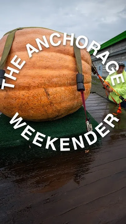 Anchorage Weekender: Berry picking, local produce and 6 more local events #anchorage #alaska (Video)