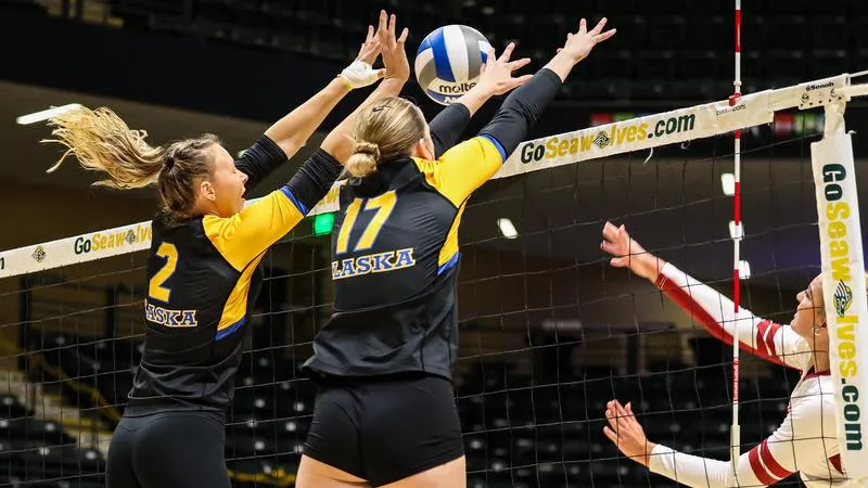 Volleyball Prepares to Host 2026 Denali State Bank Ice Block Classic