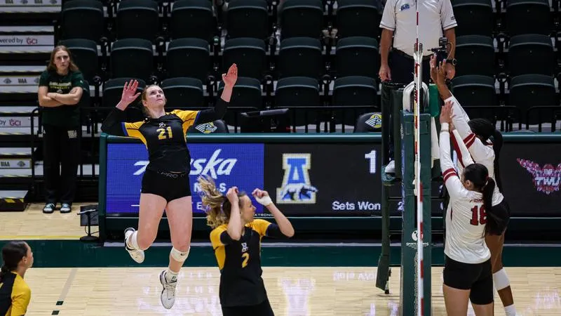 Nanooks Open Home Slate with Sweep of Tiffin