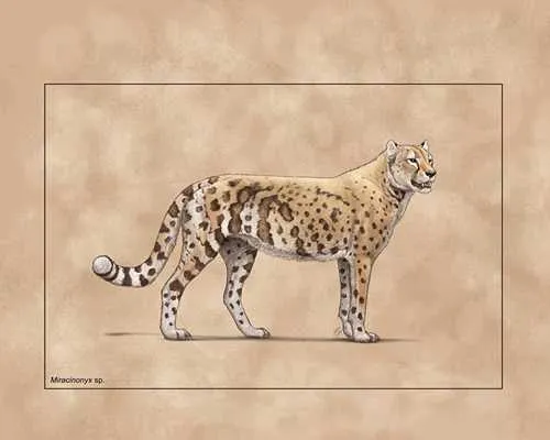 Ancient 'cheetah' adapted to a fish-based diet to survive