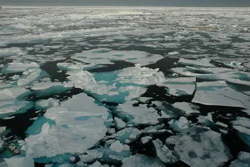 Q&A: The Arctic melt season is a week longer now than it was in the 1980s, shows new UW research on sea ice trends