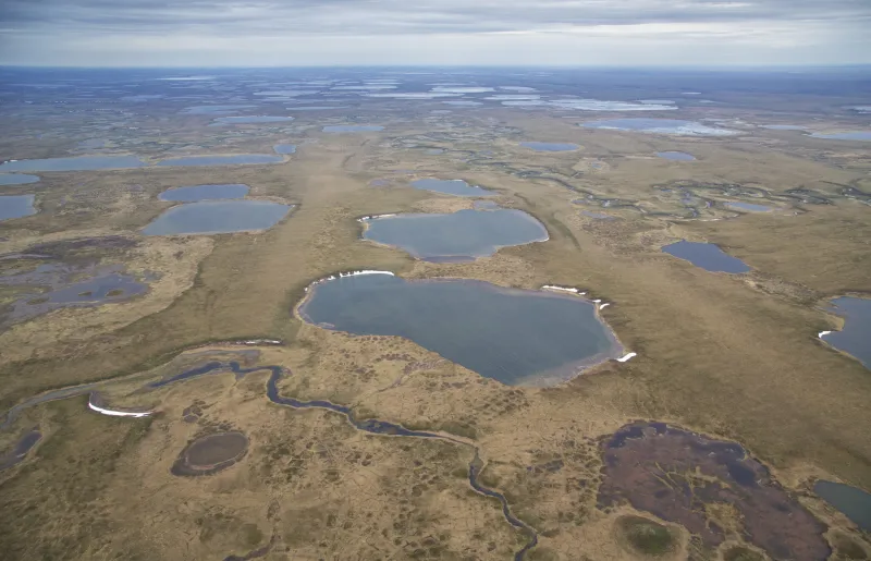 Feds seek to 'streamline' Arctic oil permitting, ending environment studies of individual projects