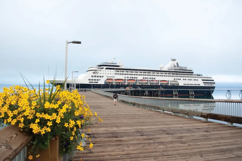 Partnership forming opposite Global Ports in dock competition